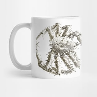 Crab Near Me Mug